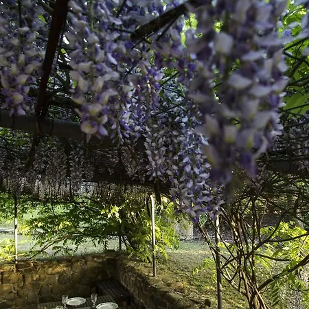 Villa Italian Experience-villa Sinfonia