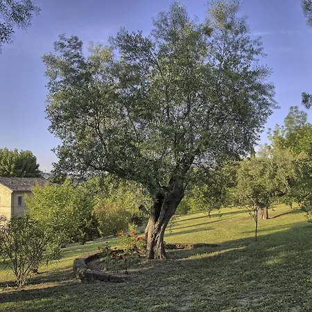 Villa Italian Experience-villa Sinfonia *